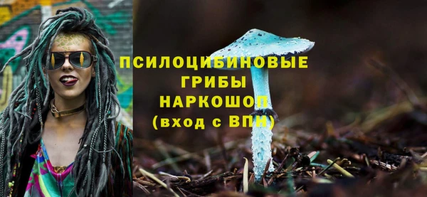 хмурый Горно-Алтайск